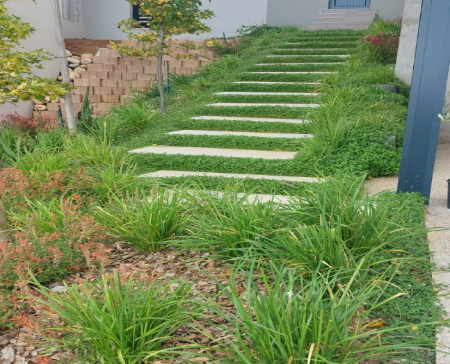 After view 1
