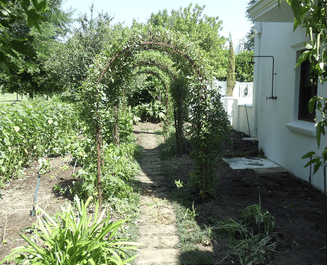 Before view 1
