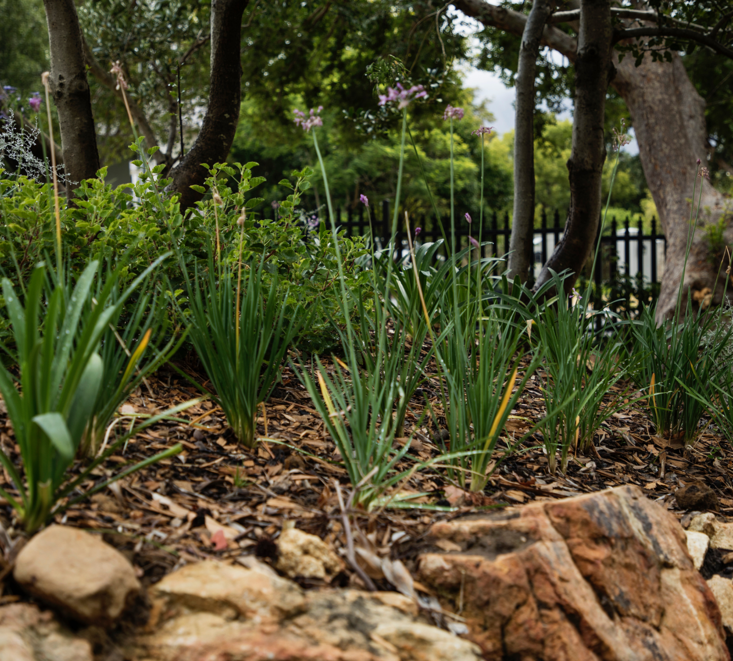 Soft Landscaping
