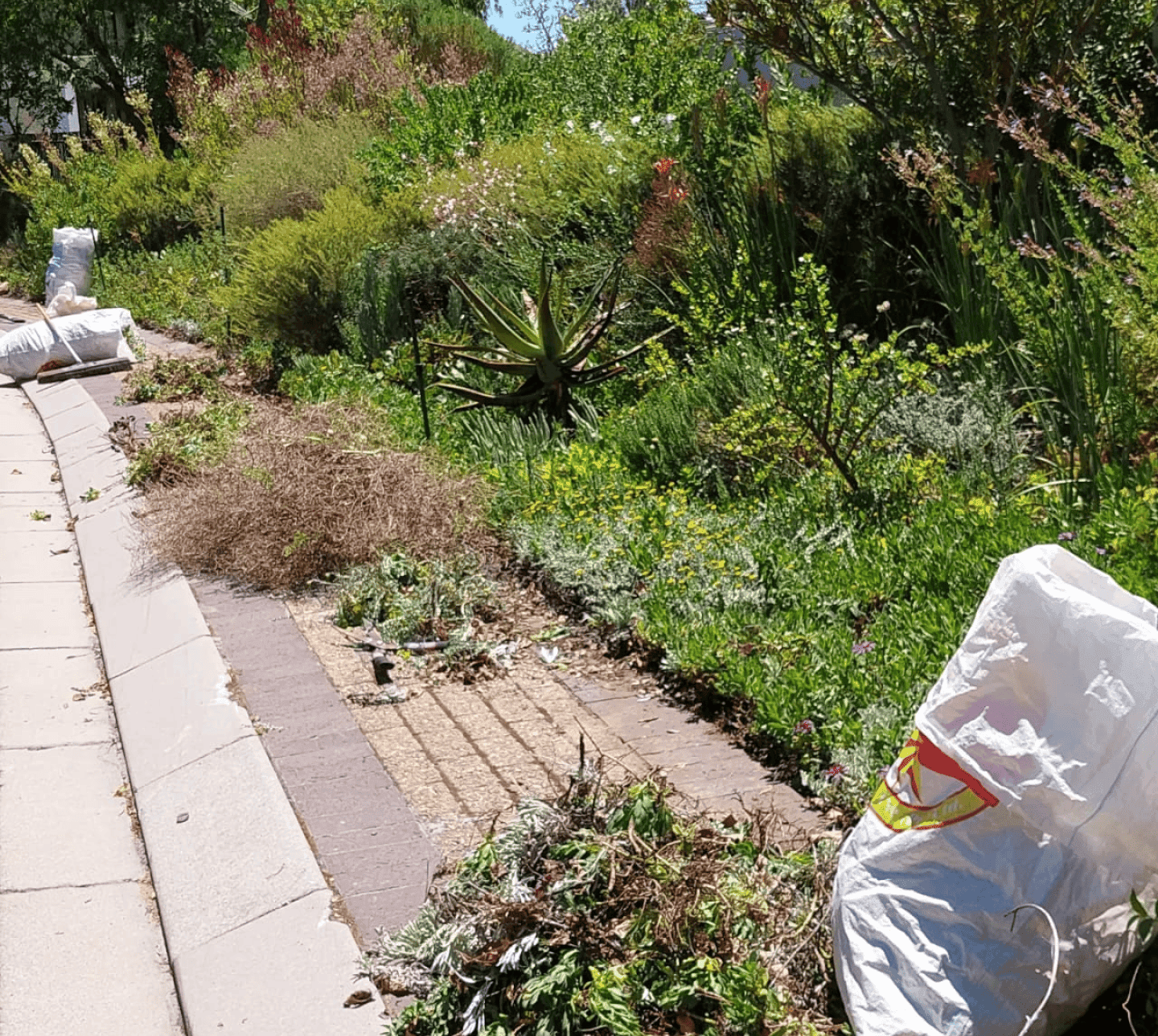 Seasonal Garden Maintenance