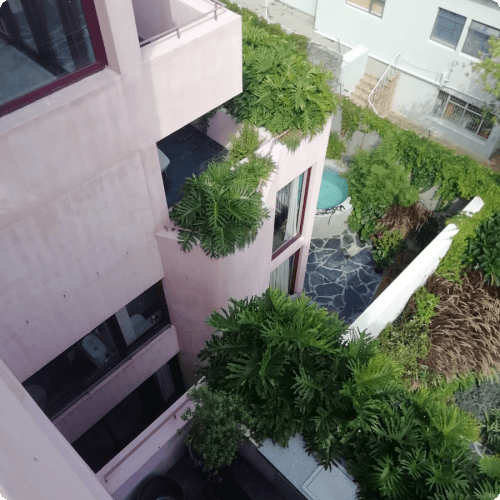 Rooftop Garden View 1