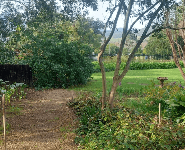 Before: view 5