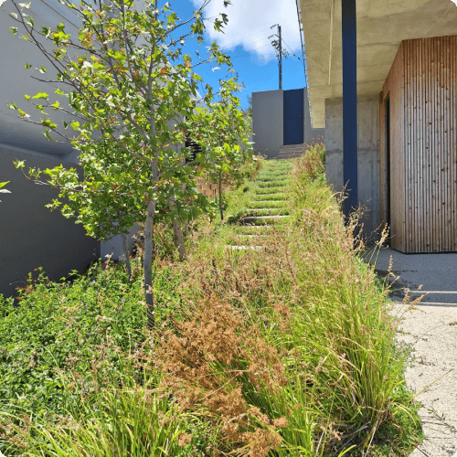 Textural Colour Pop Garden, House Pringle
