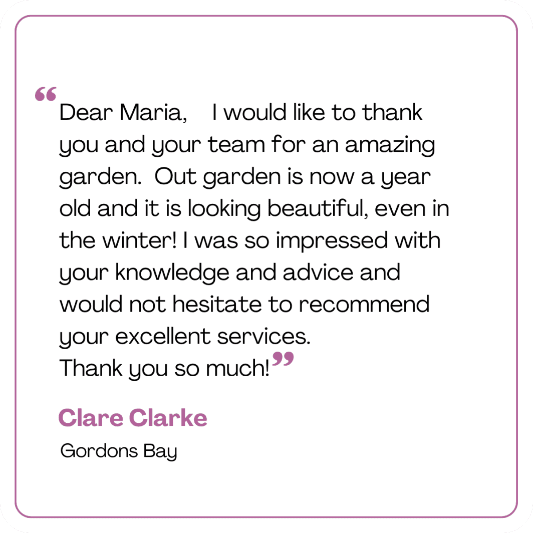 Clare Testimonial