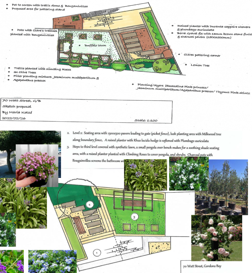 House Clark garden plan
