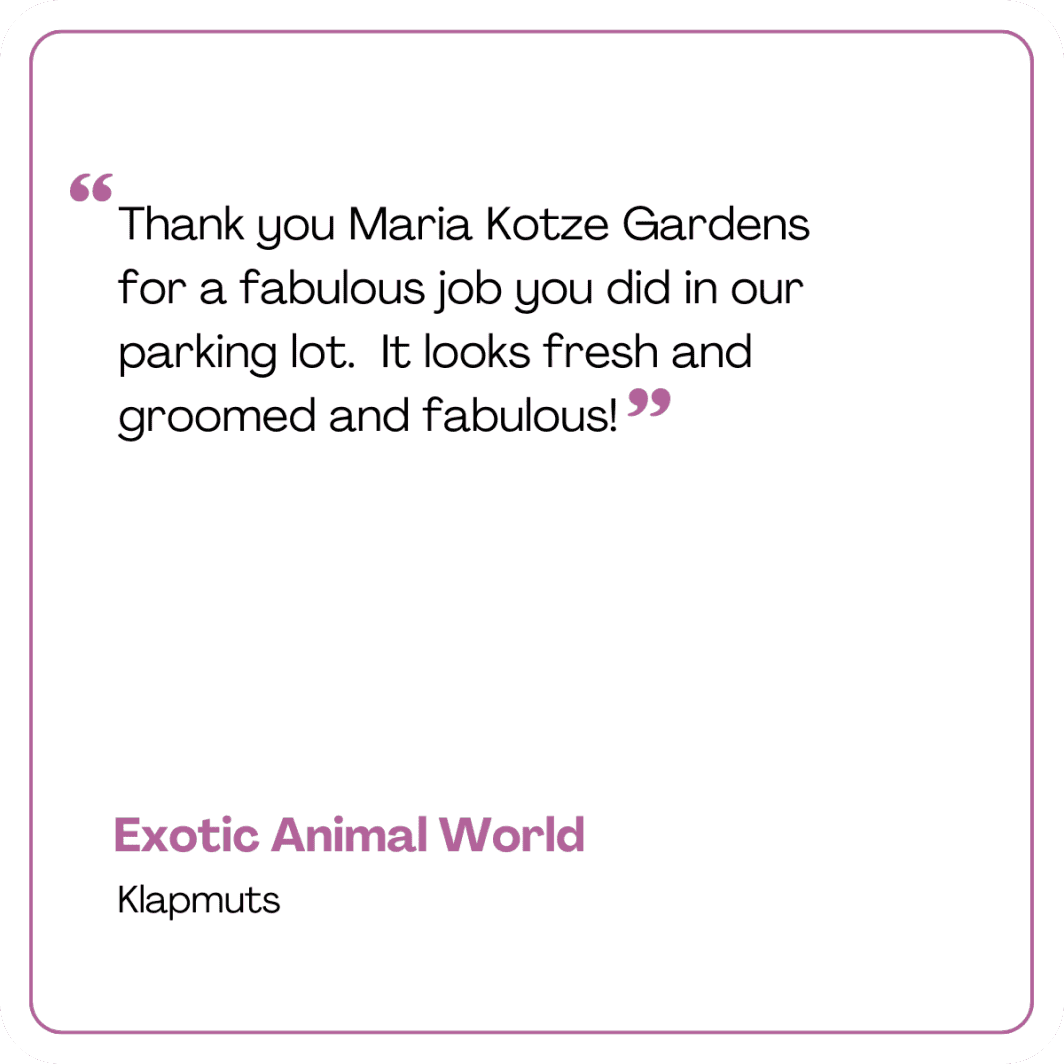 Exotic Testimonial