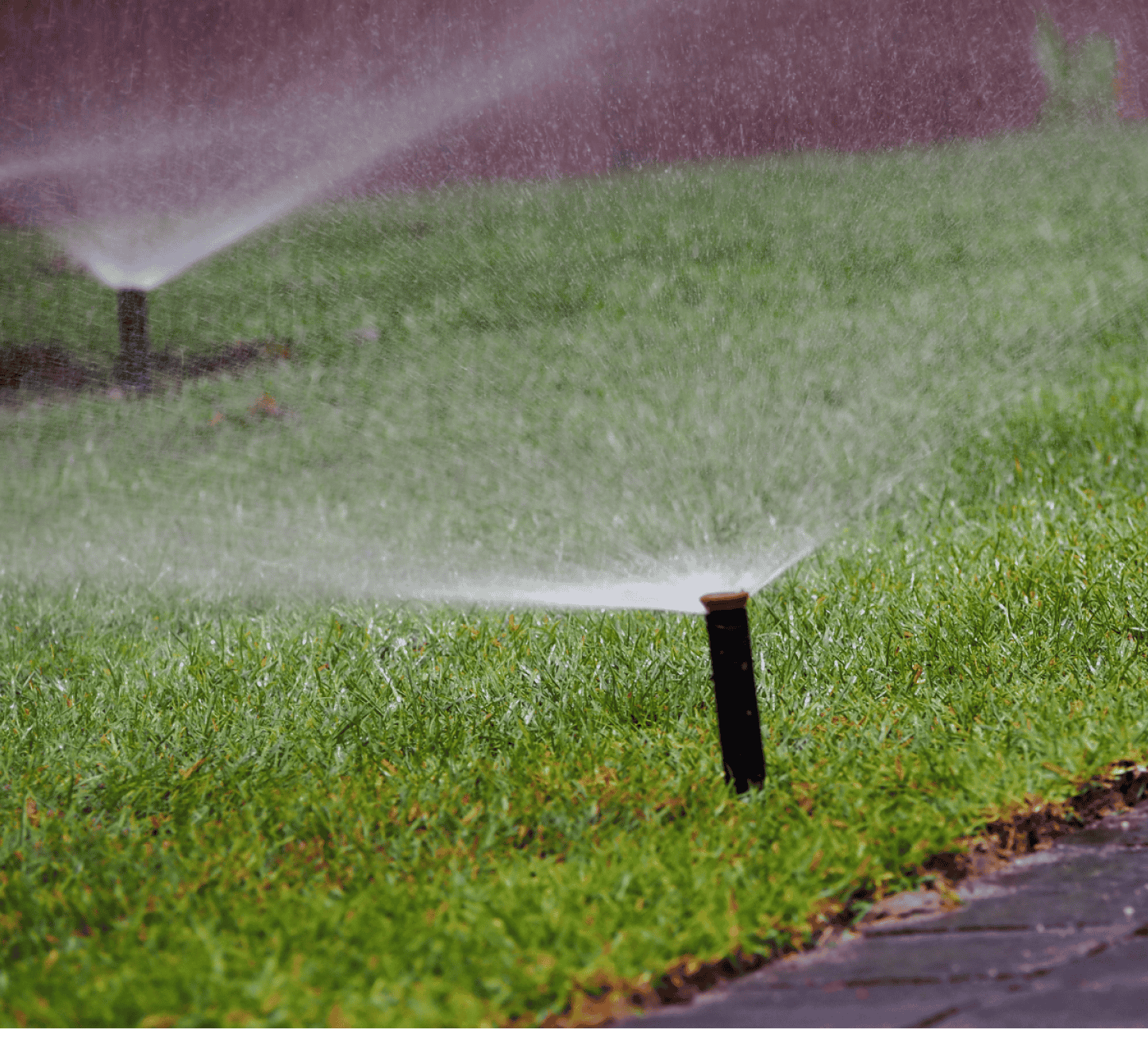 Irrigation Plan & New Installations
