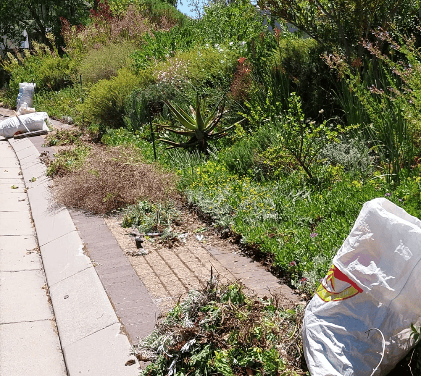 Seasonal Garden Maintenance