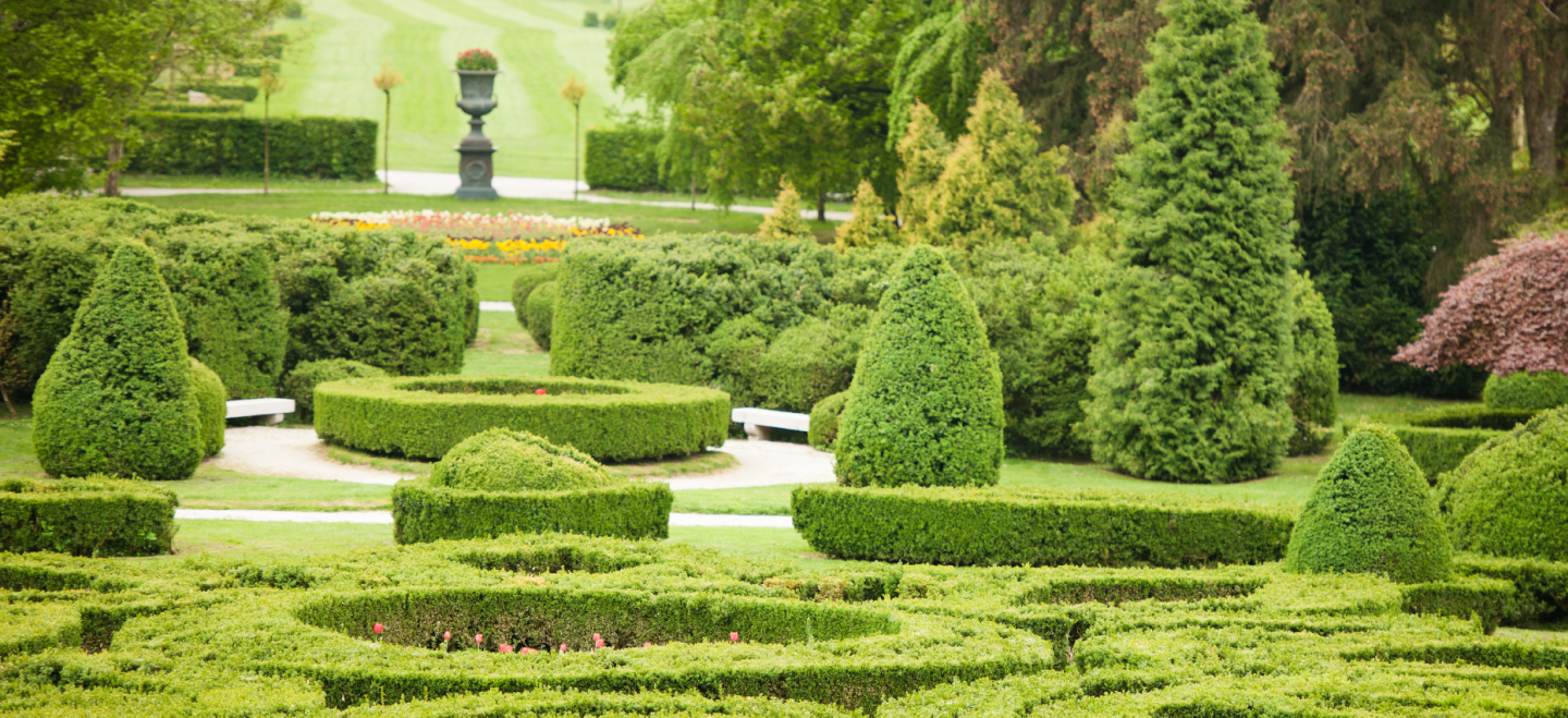 Garden Inspiration