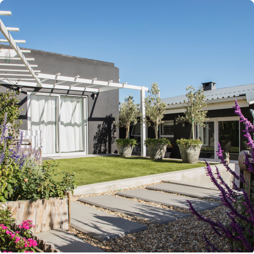 Contemporary Mediterranean Garden