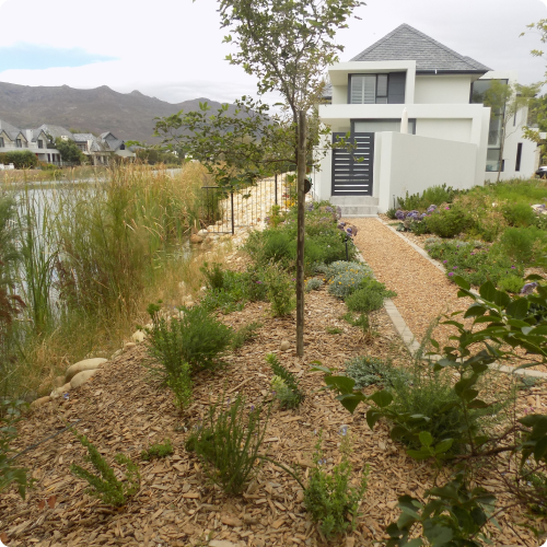 Indigenous Garden