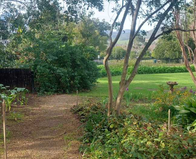 Before view 5