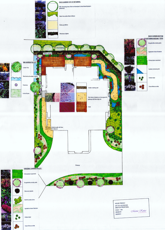 Textural Colour Pop garden plan