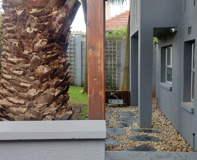Before view 4